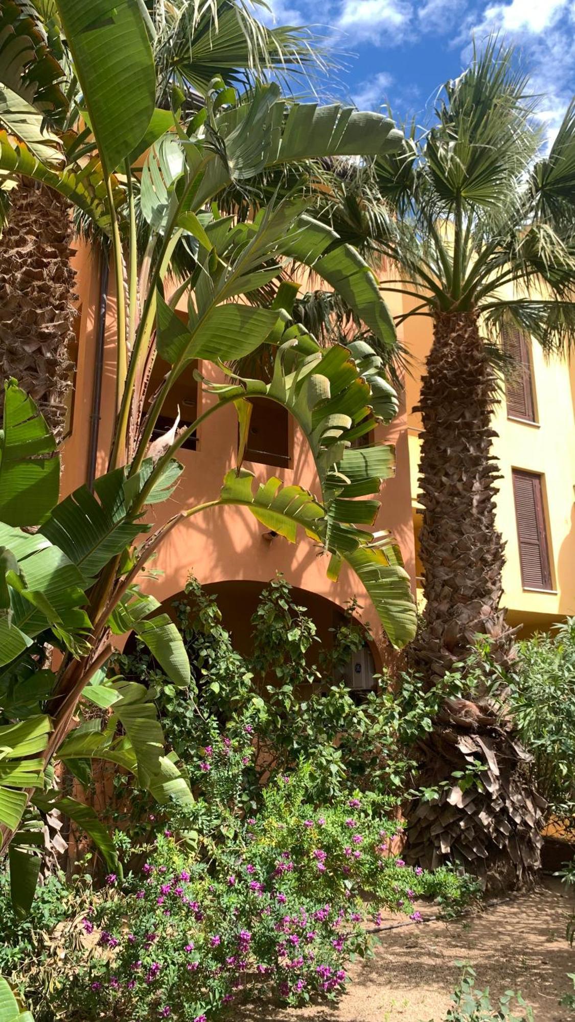Nest House - Esclusivo Appartamento Marina Di Olbia- Mater Olbia - Beaches - Close To The Airport - Private Parking- Full Comforts - Esterno foto