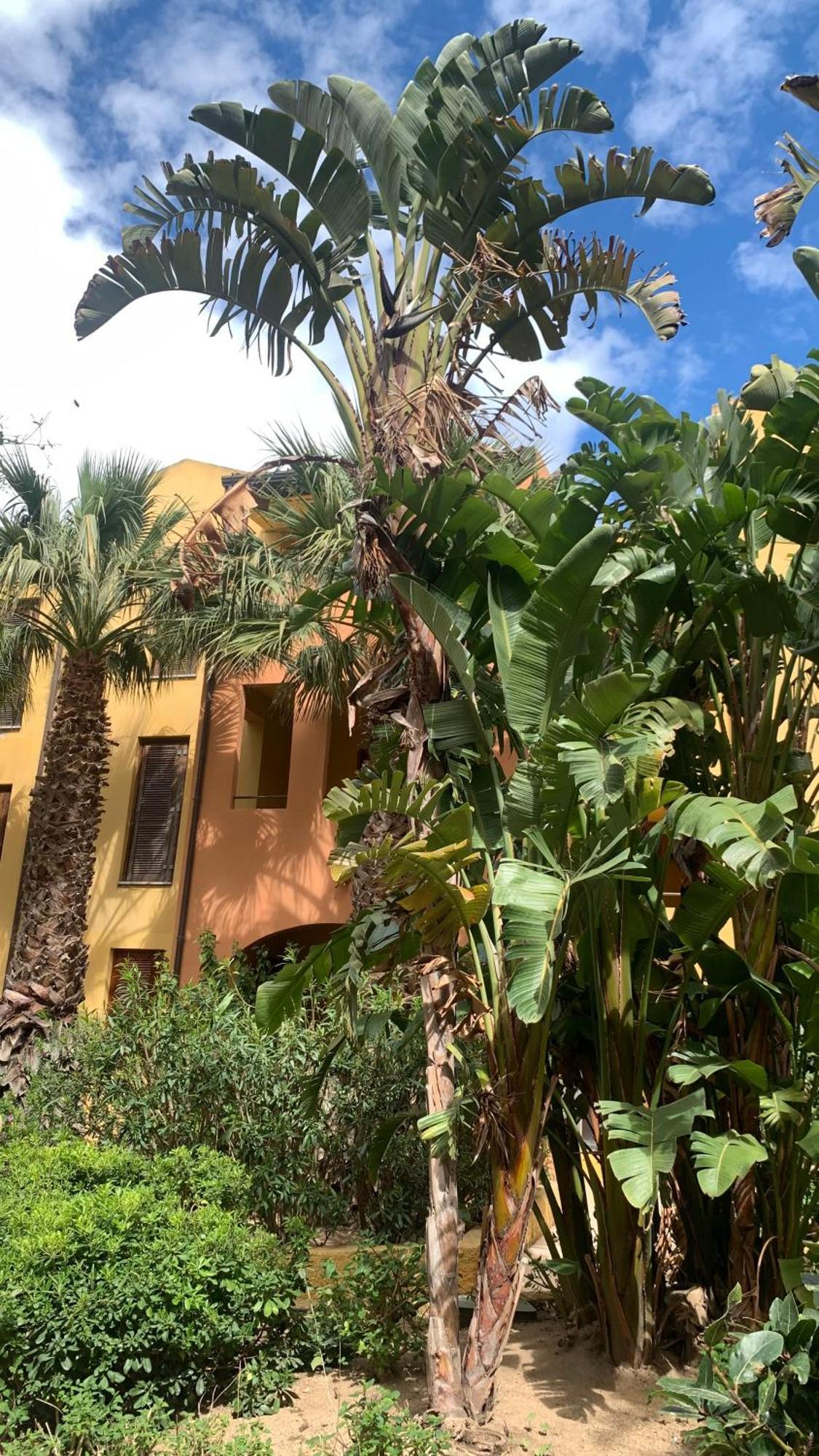 Nest House - Esclusivo Appartamento Marina Di Olbia- Mater Olbia - Beaches - Close To The Airport - Private Parking- Full Comforts - Esterno foto